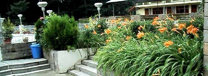 502/Golden Tulip - Manali 02.jpg